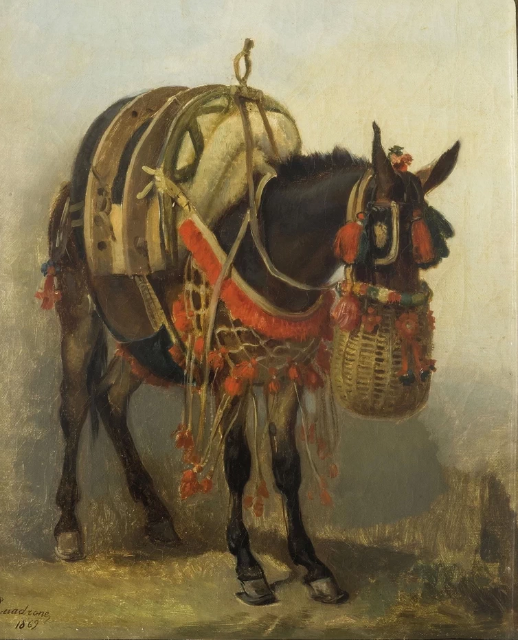 Asinello sardo